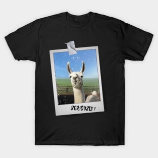 Funny Llama Alpaca Photo Seriously? Saying T-Shirt